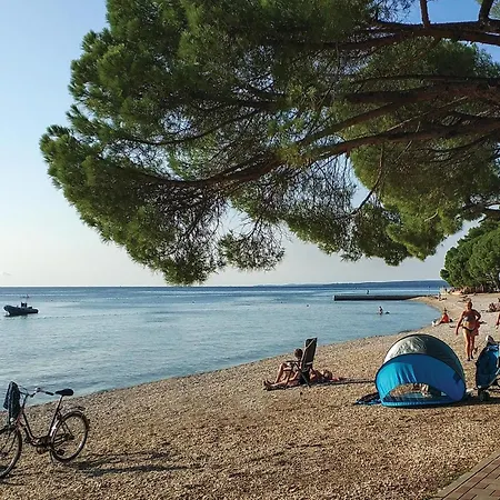 Apartment Three-bedroom In *